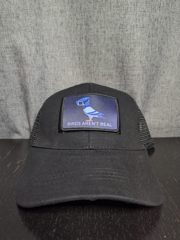 Birds Aren't Real Snapback - Image 4