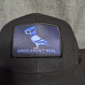 Birds Aren't Real Snapback