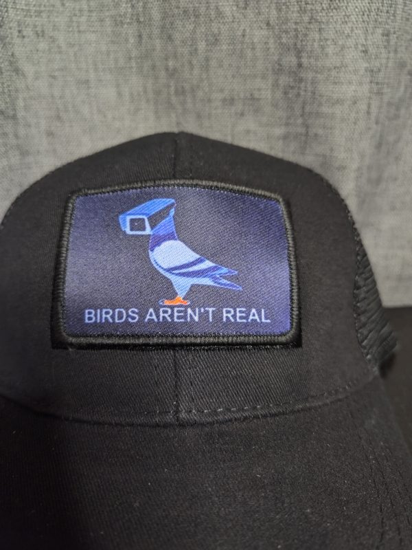 Birds Aren't Real Snapback