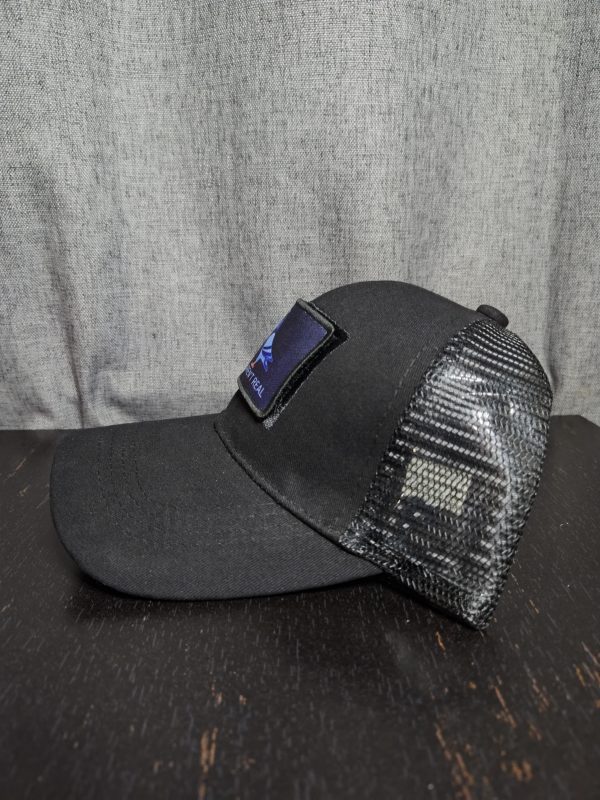 Birds Aren't Real Snapback - Image 5
